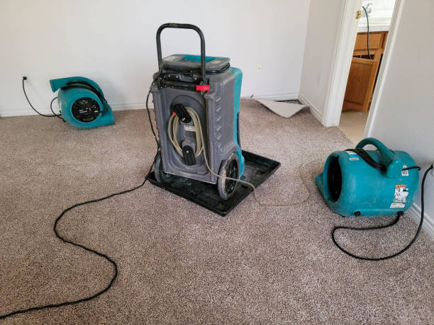 Best Professional water damage repair  in Casa Grande, AZ