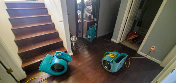 Trusted Casa Grande, AZ Water damage restoration Experts