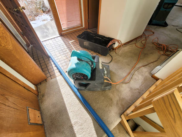 Best Ceiling water damage repair  in Casa Grande, AZ