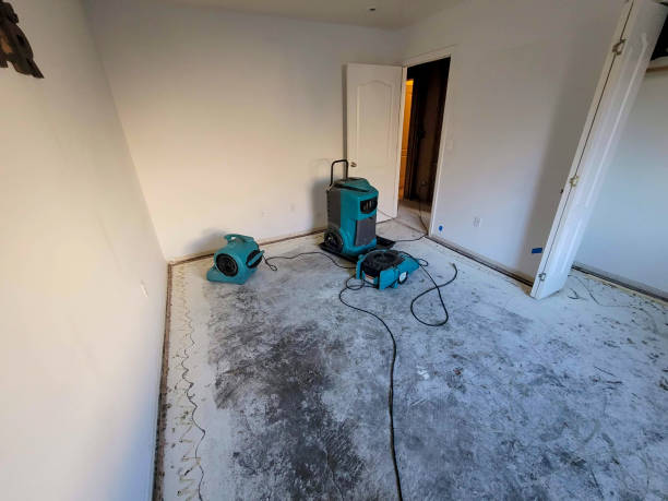 Best Local water damage restoration  in Casa Grande, AZ