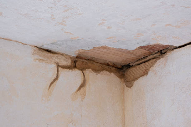  Casa Grande, AZ Water damage restoration Pros