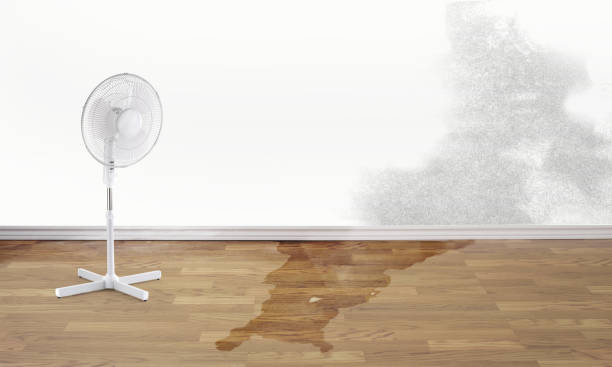 Best 24-hour water damage restoration  in Casa Grande, AZ