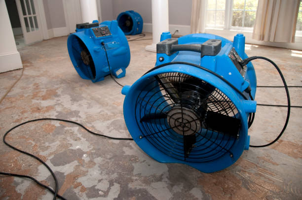 Best 24/7 water damage repair  in Casa Grande, AZ