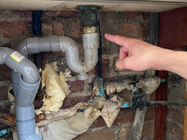 Best Flood damage cleanup  in Casa Grande, AZ